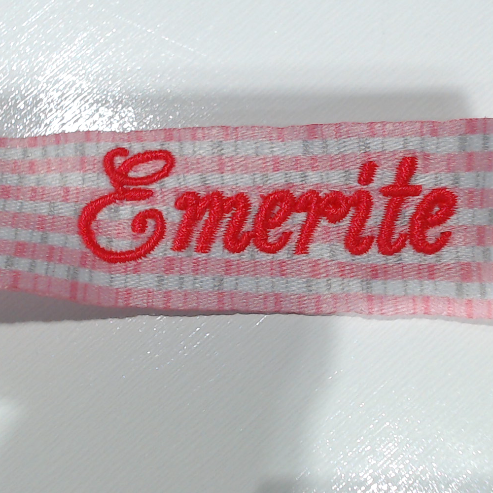 BLOOPER ACCESSORY: Personalized Paci Clip