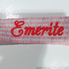 BLOOPER ACCESSORY: Personalized Paci Clip