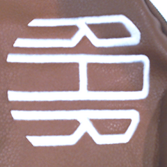 BLOOPER BAG: Monogrammed Sling Bag