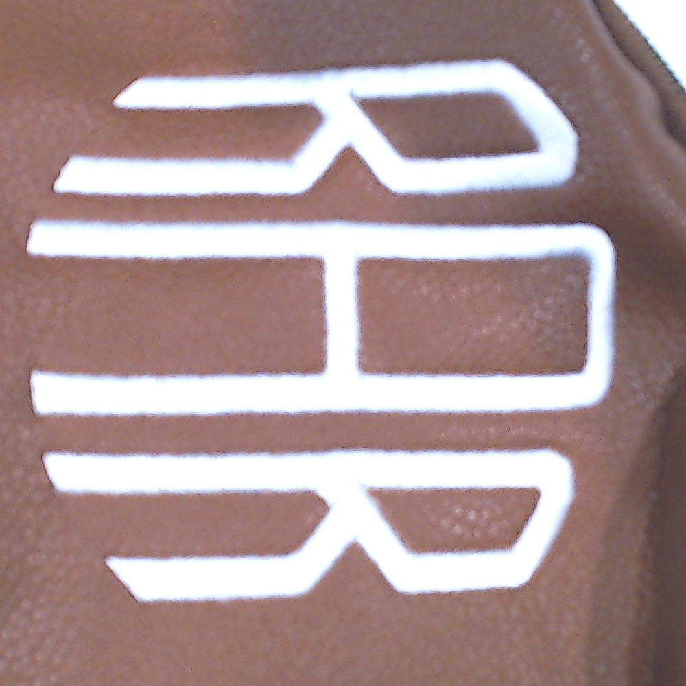 BLOOPER BAG: Monogrammed Sling Bag