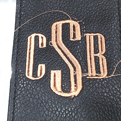 BLOOPER BAG: Monogrammed Clear Stadium Crossbody Bag