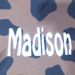BLOOPER BAG: Monogrammed Neoprene Crossbody