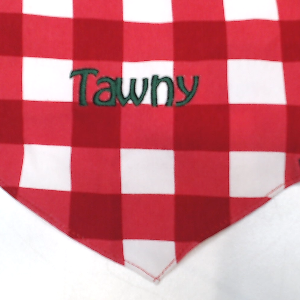 BLOOPER ACCESSORY: Personalized Dog Bandana