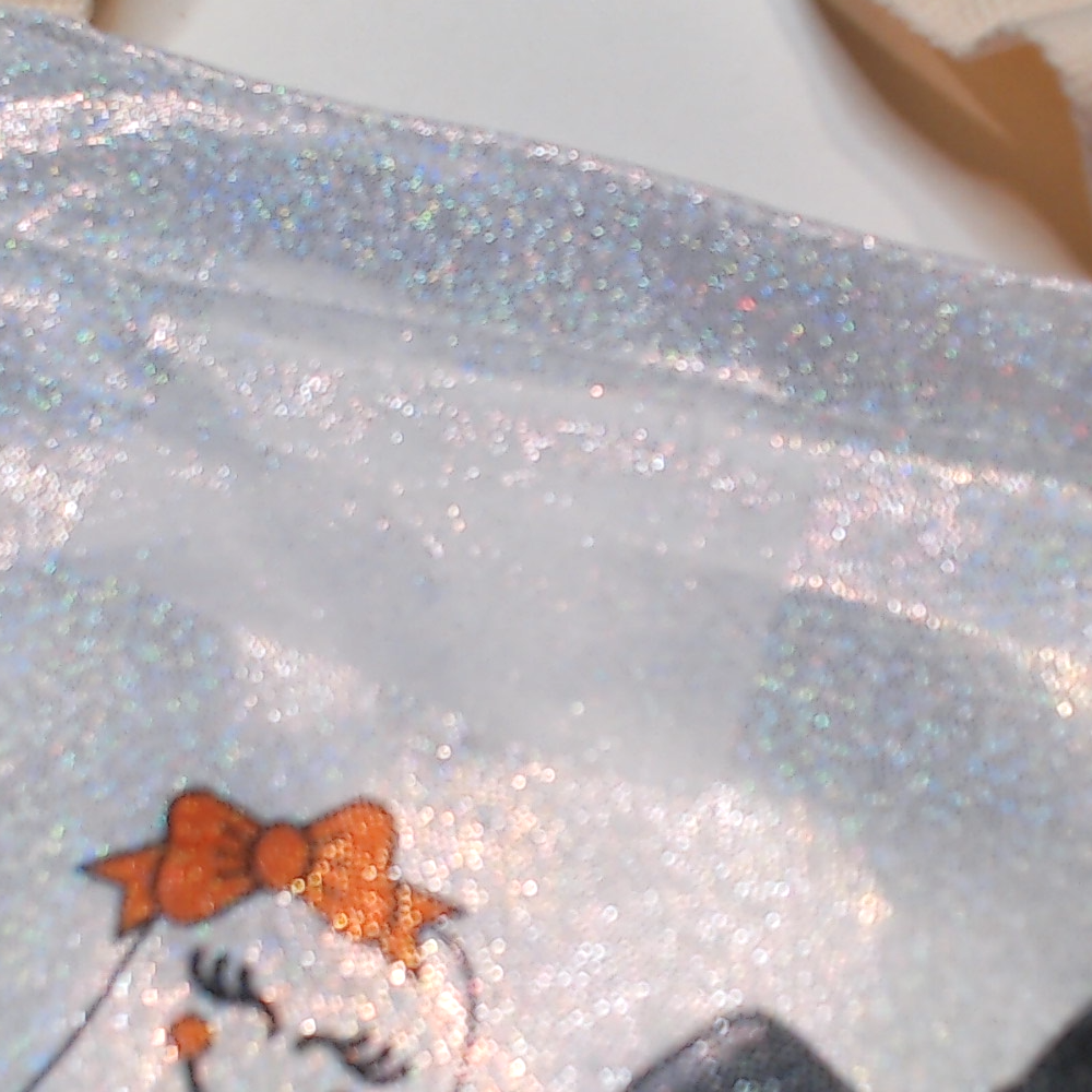 BLOOPER BAG: Monogrammed Halloween Bag