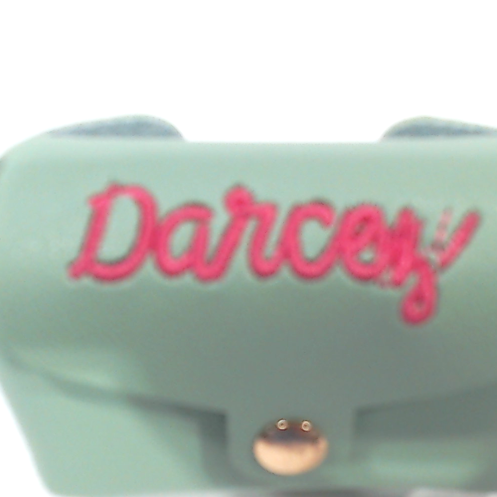 BLOOPER ACCESSORY: Monogrammed Pet Waste Bag Holder
