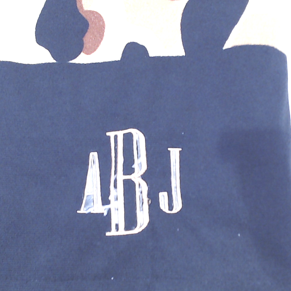 BLOOPER SWIM: Monogrammed Beach Towel