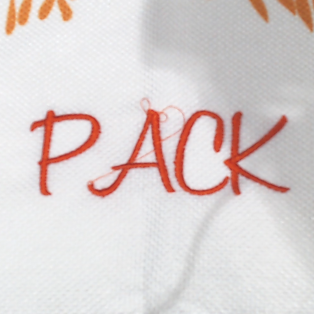 BLOOPER ACCESSORY Monogrammed Fall Pillow Sham