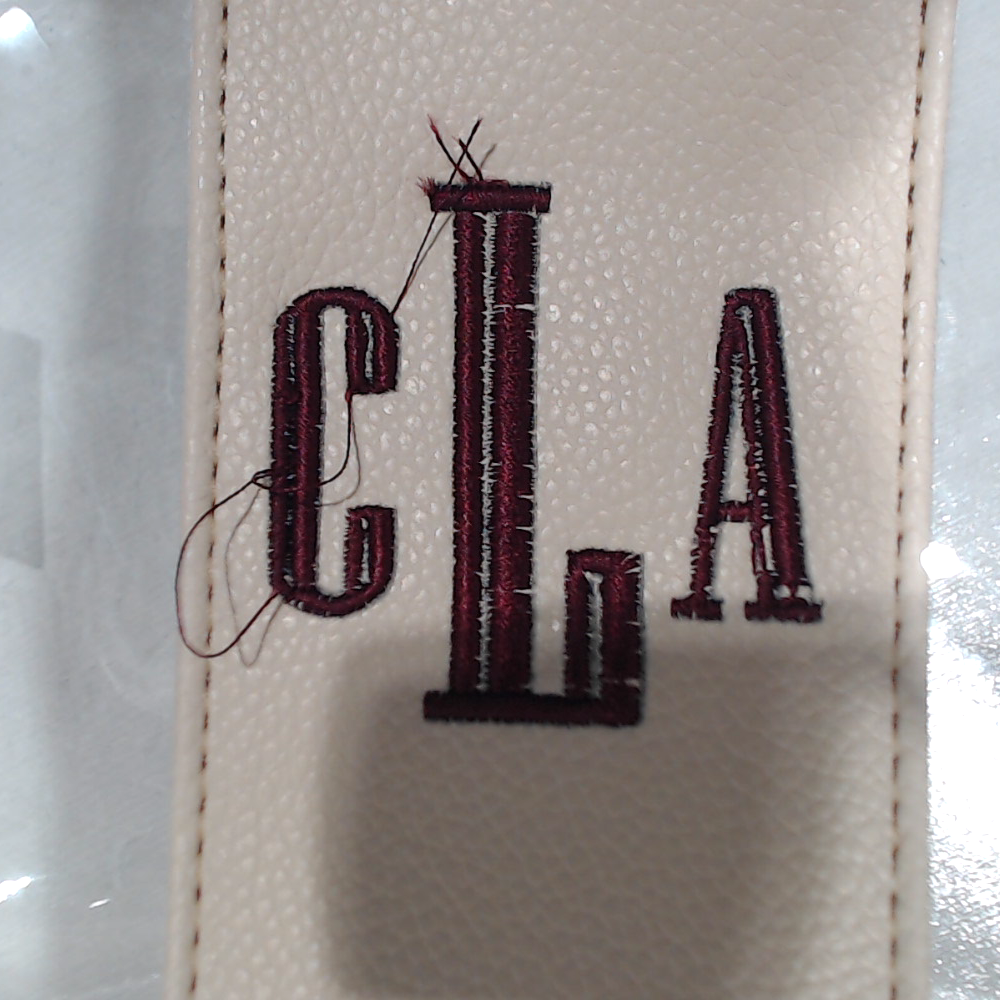 BLOOPER BAG: Monogrammed Clear Stadium Crossbody Bag