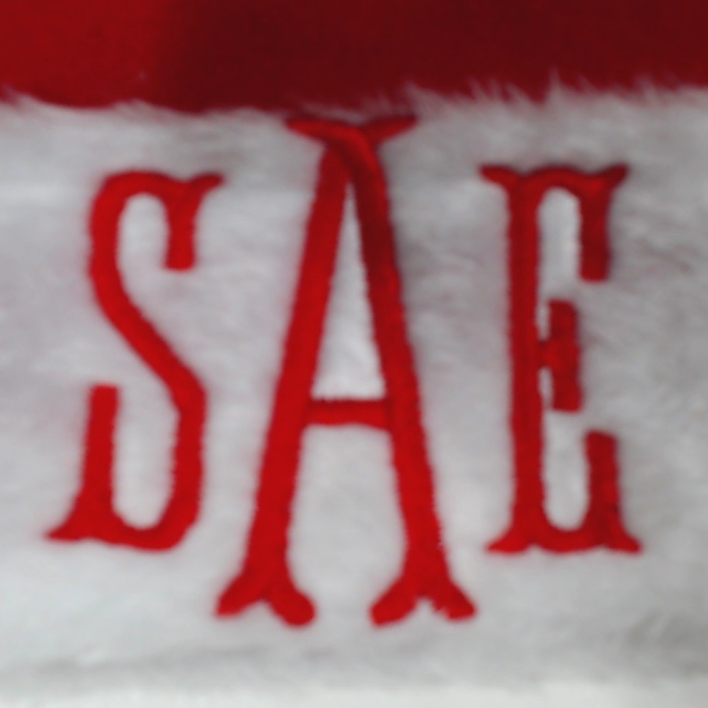 BLOOPER ACCESSORY: Personalized Santa Hat