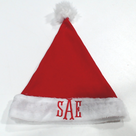 BLOOPER ACCESSORY: Personalized Santa Hat