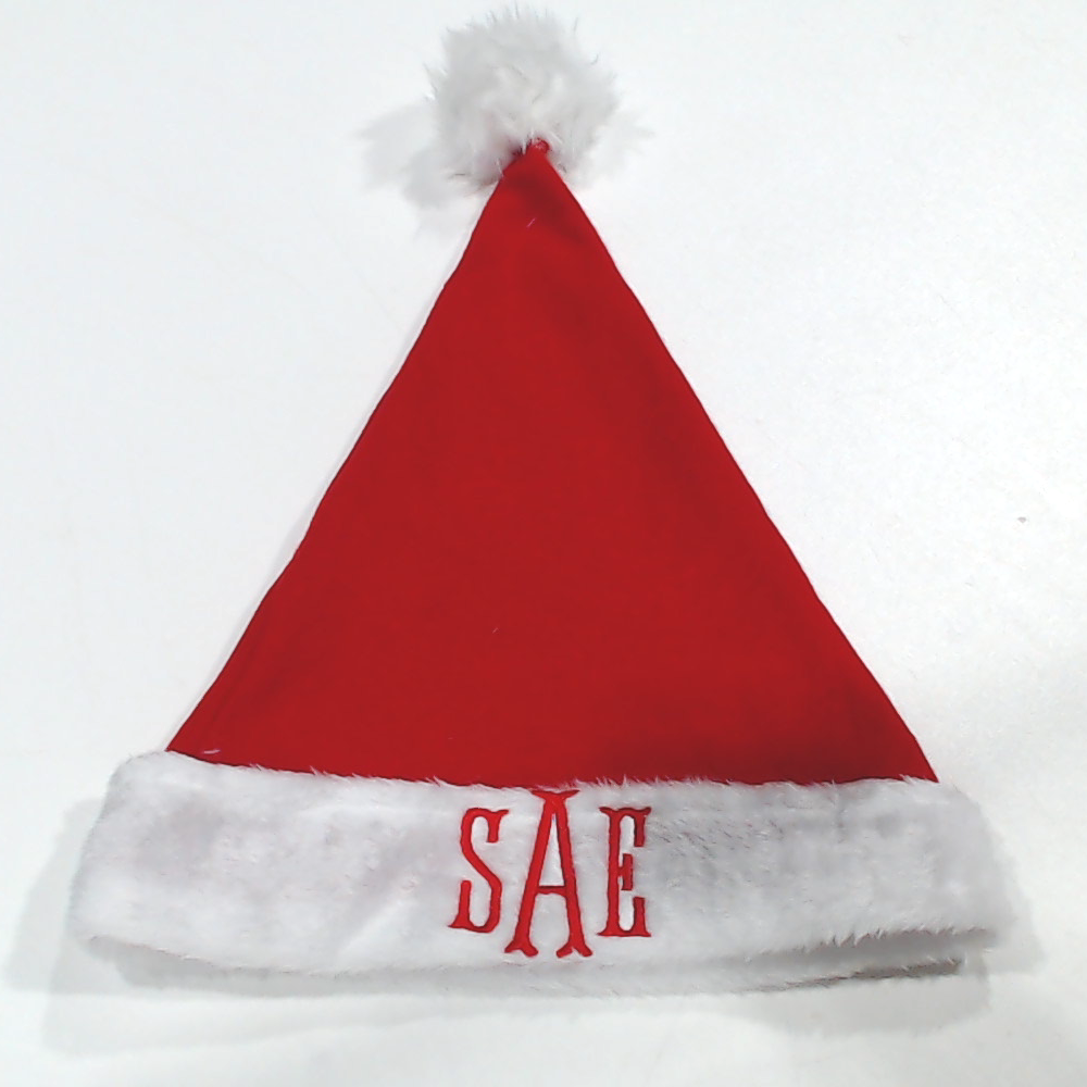 BLOOPER ACCESSORY: Personalized Santa Hat