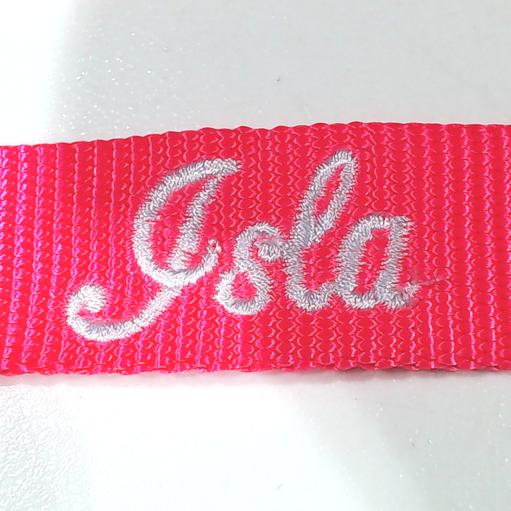 BLOOPER ACCESSORY: Personalized Dog Leash
