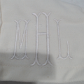 BLOOPER ACCESSORY: Personalized Tissue Box Cover