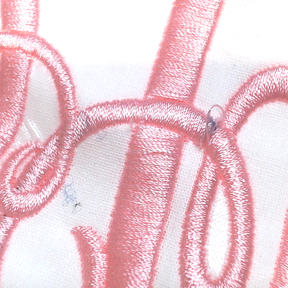 BLOOPER ACCESSORY: Monogrammed Pillow Sham