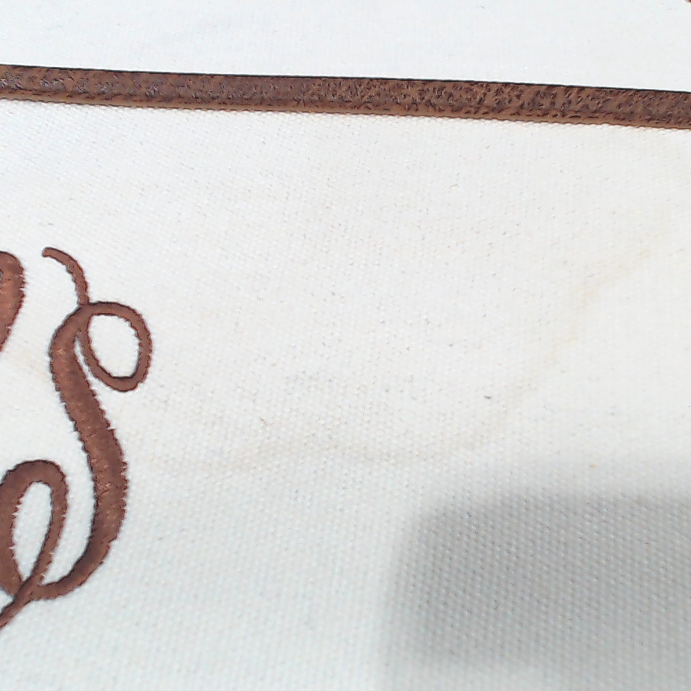 BLOOPER BAG: Monogrammed Trunk Organizer