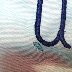 BLOOPER KIDS: Monogrammed Boys Swim Trunks