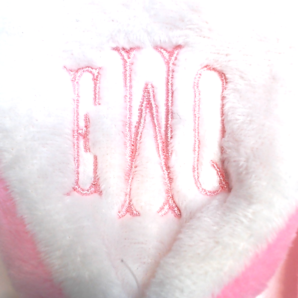 BLOOPER KIDS: Monogrammed Kids Bunny Ears