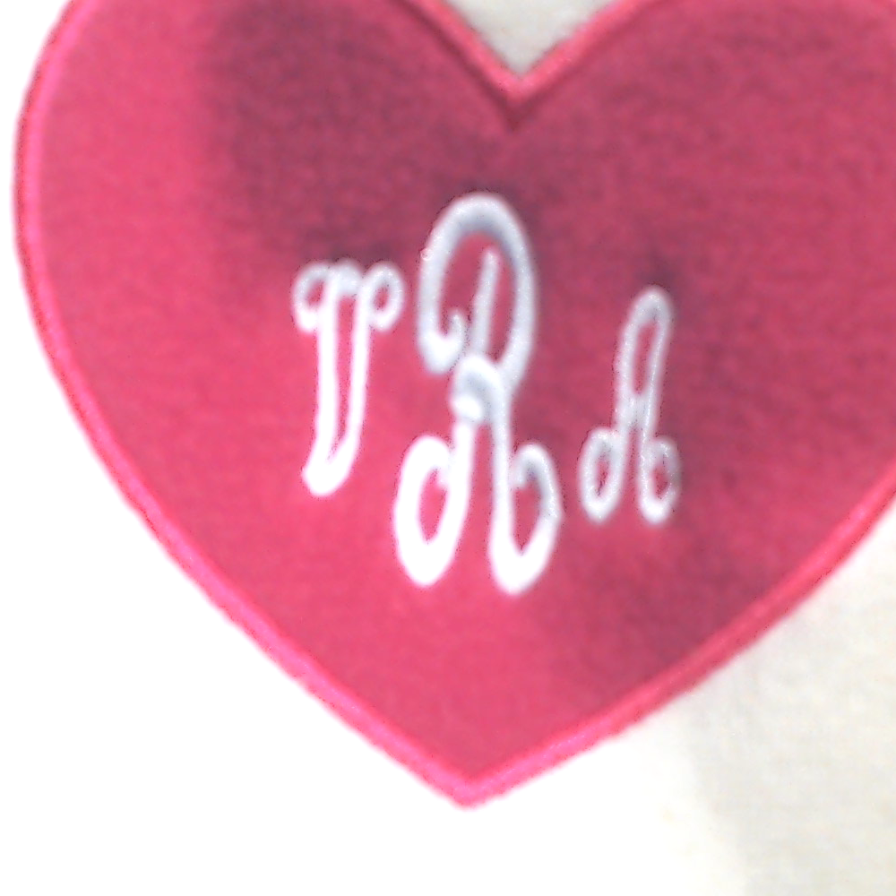 BLOOPER SHOES: Monogrammed Slippers