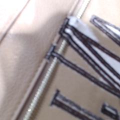 BLOOPER BAG: Monogrammed Carry On Travel Tote