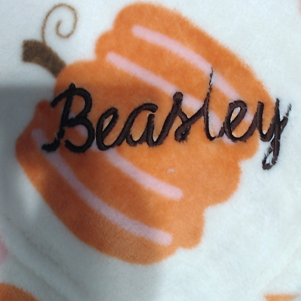 BLOOPER ACCESSORY: Personalized Plush Blanket