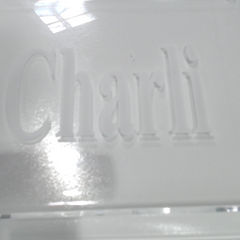 BLOOPER ACCESSORY: Monogrammed Acrylic Tray