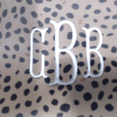 BLOOPER BAG: Monogrammed Classic Crossbody