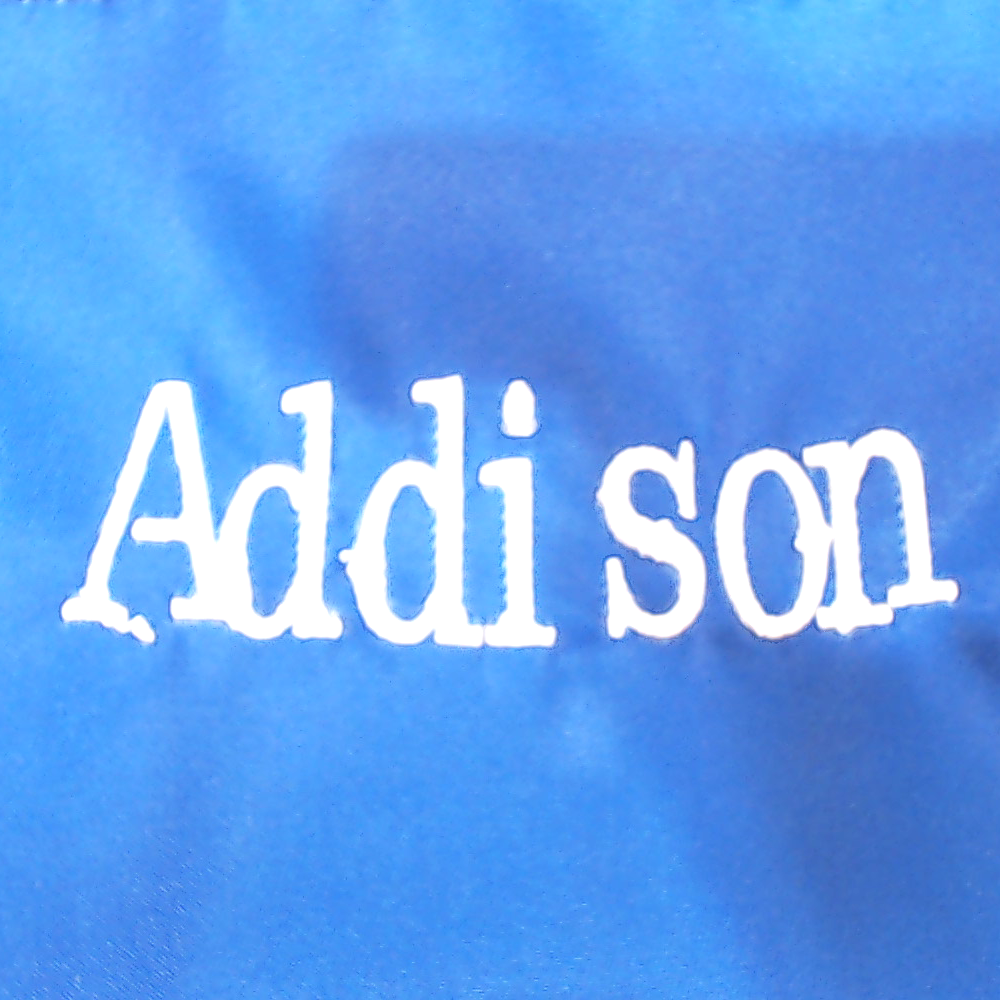 BLOOPER BAG: Personalized Lunch Box