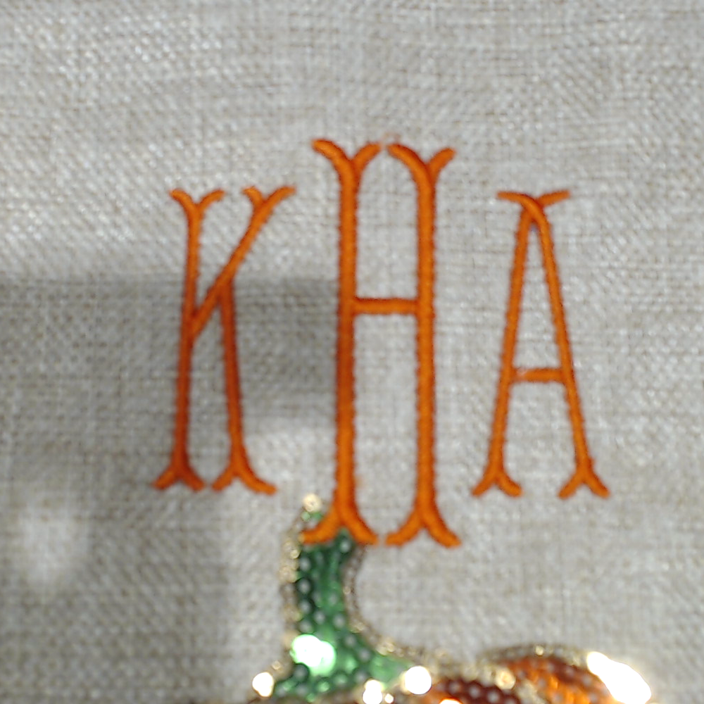 BLOOPER BAG: Monogrammed Sequin Tote Bag