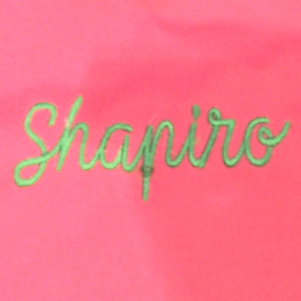BLOOPER BAG: Monogrammed Extra Large Tote Bag