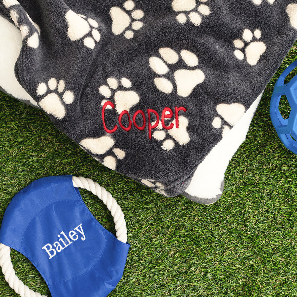 black tan dog blanket with dog frisbee