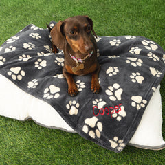 black tan dog blanket with dog