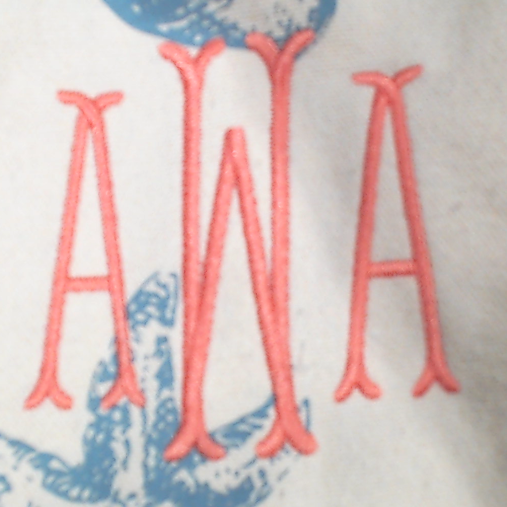 BLOOPER BAG: Monogrammed Hobo Bag