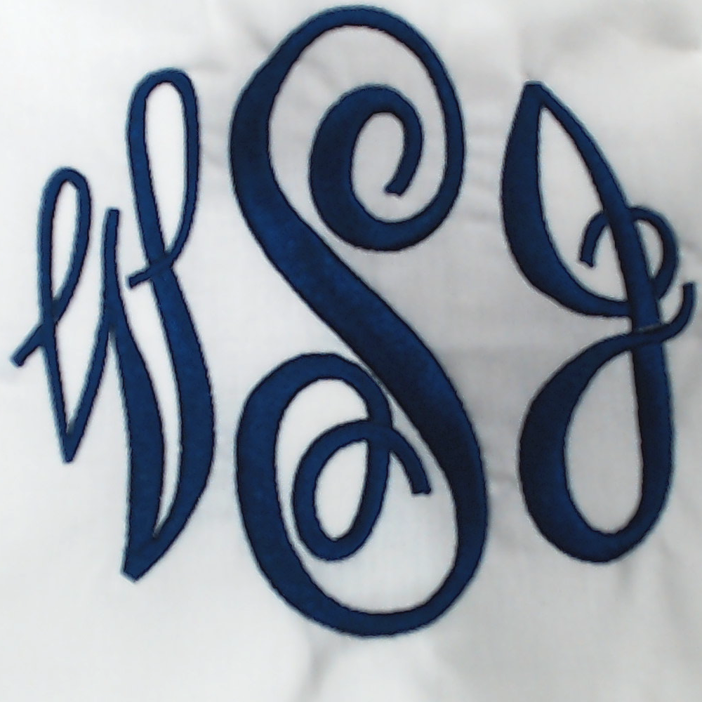 BLOOPER ACCESSORY: Monogrammed Pillow Sham