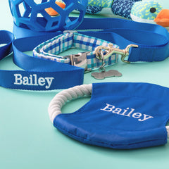 close up of blue personalized dog frisbee and leash