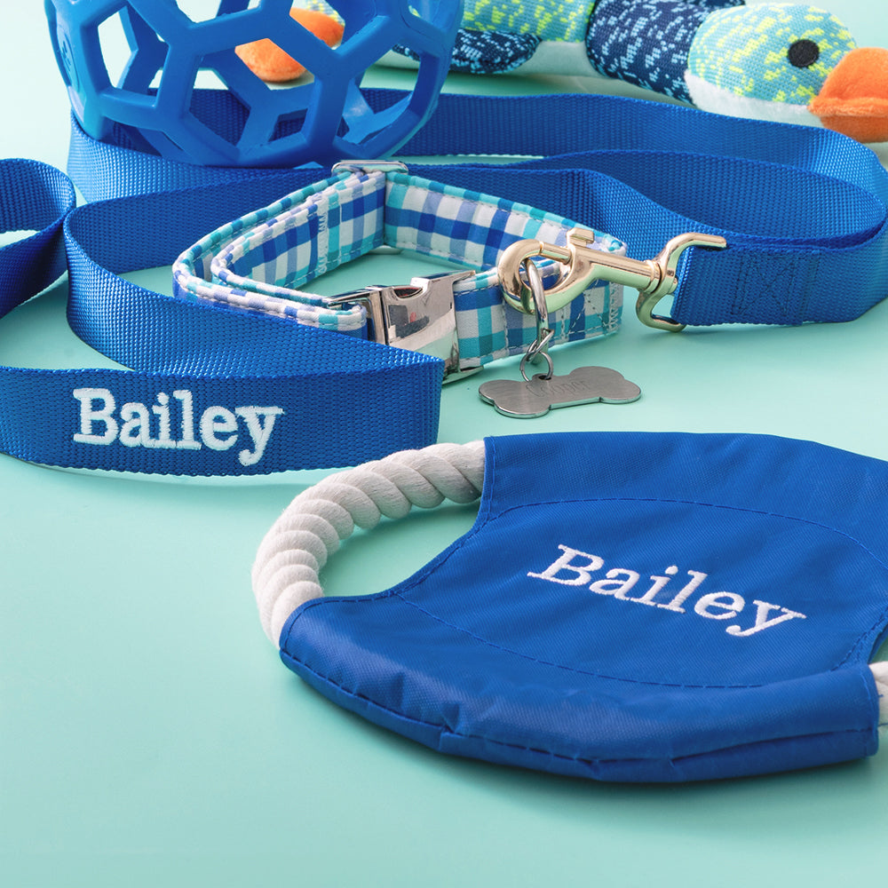 close up of blue personalized dog frisbee and leash