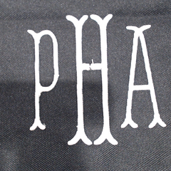 BLOOPER ACCESSORY: Monogrammed Casserole Carrier