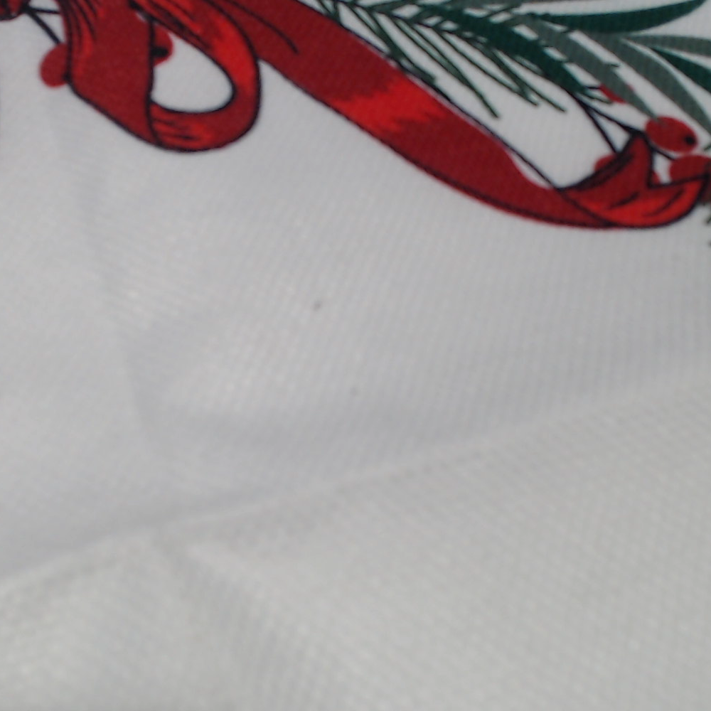 BLOOPER ACCESSORY: BLANK Christmas Pillow Sham