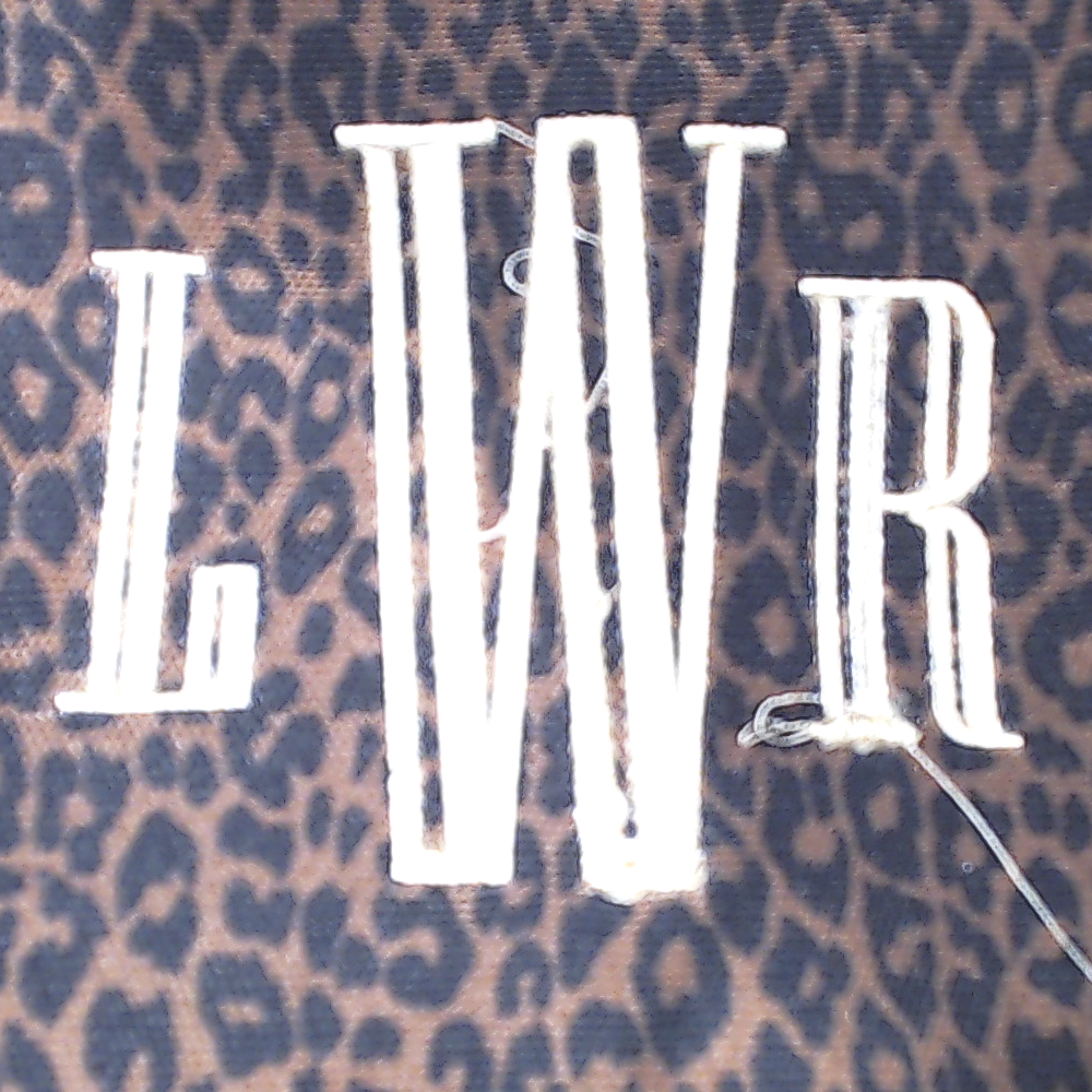 BLOOPER BAG: Monogrammed Canvas Bag