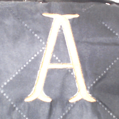 BLOOPER ACCESSORY: Personalized Picnic Blanket