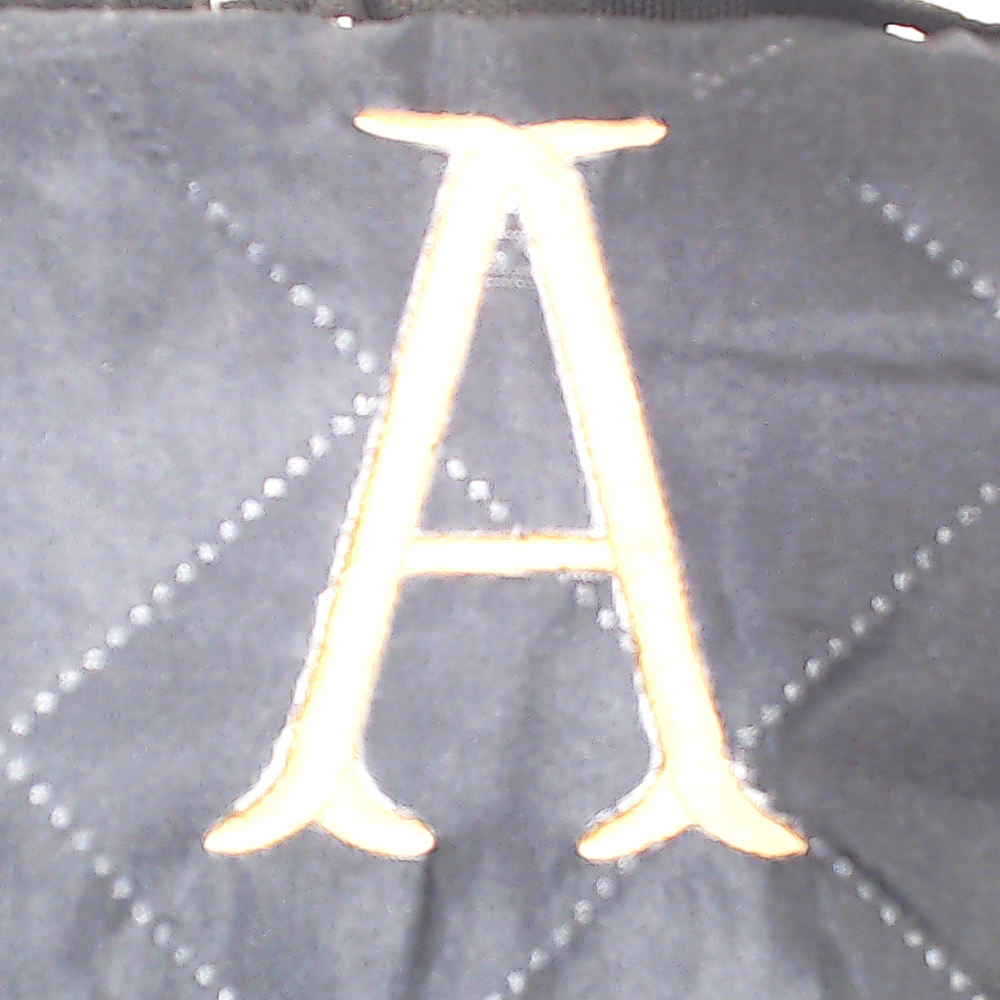 BLOOPER ACCESSORY: Personalized Picnic Blanket
