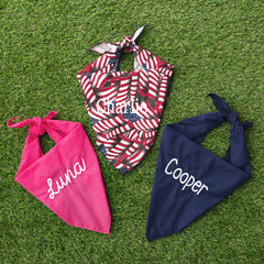 dog bandana trio on turf