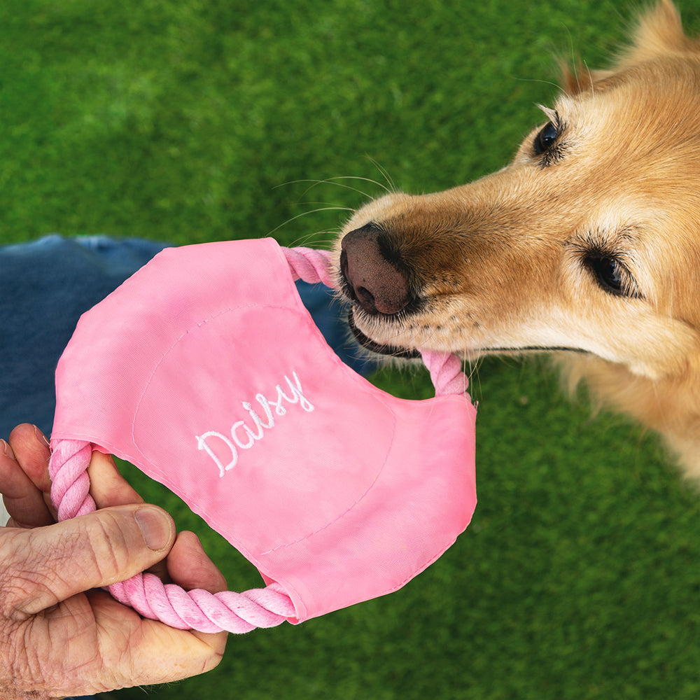 dog biting personalized pink frisbee