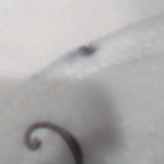 BLOOPER KIDS: Monogrammed Baby Blanket