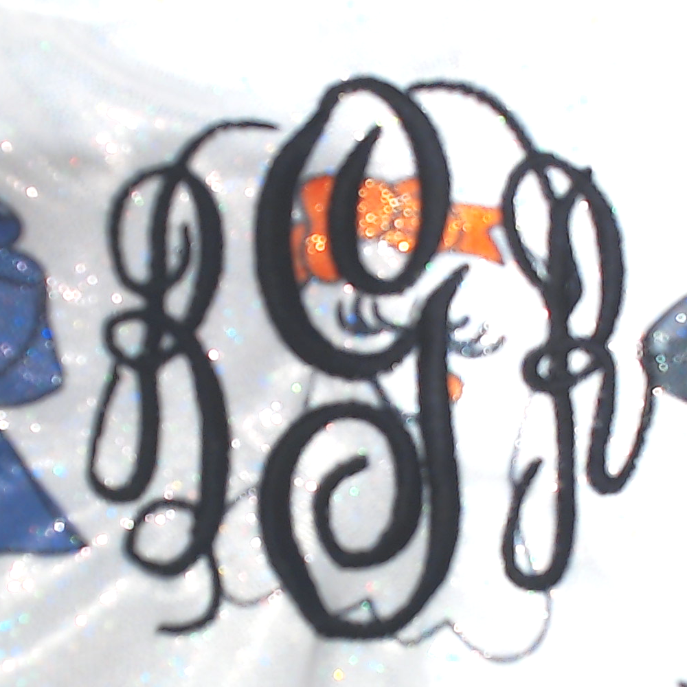 BLOOPER BAG: Monogrammed Halloween Bag