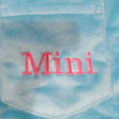 BLOOPER CLOTHING: Monogrammed Softspun Sweatshirt