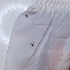 BLOOPER KIDS: Monogrammed White Eyelet Baby Bloomers