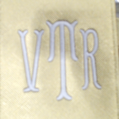 BLOOPER BAG: Monogrammed Clear Train Case