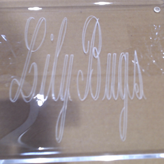 BLOOPER ACCESSORY: Monogrammed Acrylic Tray