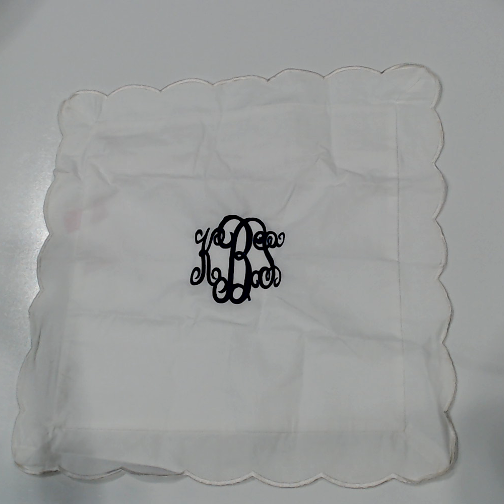 BLOOPER ACCESSORY: Monogrammed Pillow Sham