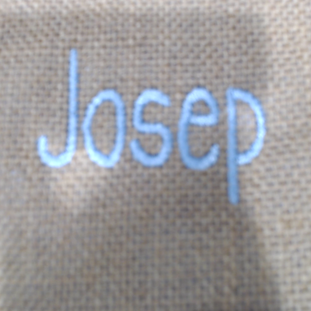BLOOPER KIDS: Monogrammed Bunny Easter Basket
